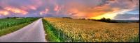 Abendrot 2