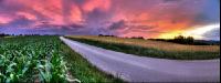 Abendrot 4