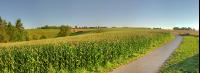 Mais Panorama 1