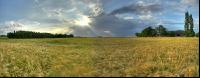 Gerste Panorama 11