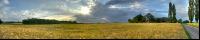 Gerste Panorama 10