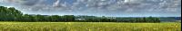 Gerste Panorama 7