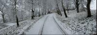 Gosenhub Winter 2