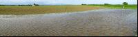 Hochwasser Mais