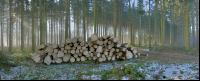 Holzstoss Panorama 1