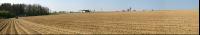 Kartoffel Panorama 5