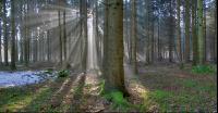 Lichtstrahlen 4