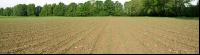 Mais Panorama 3