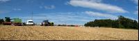 Mais Panorama 6