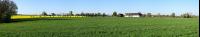 Raps Panorama 8