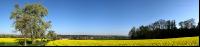 Raps Panorama 9