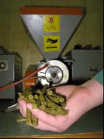 Raps Pellets 1