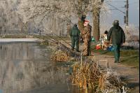 Angler Frost J 1