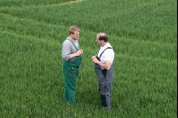 Diskussion Feld J 1