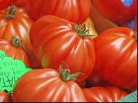 Fleischtomate 1