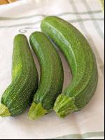 Zucchini 7