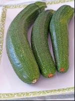 Zucchini 8