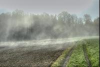 Nebelschwaden 18