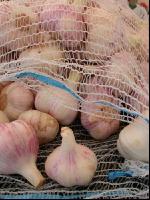Knoblauch 3