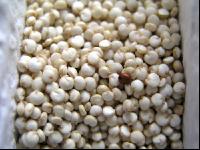 Quinoa 1
