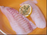 Kabeljaufilet 2
