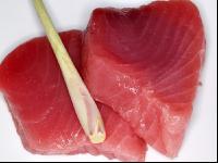 Thunfisch 1