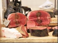 Thunfisch 3