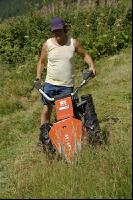 Alm Heuarbeit 4