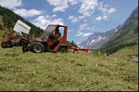 Alm Heuarbeit 6