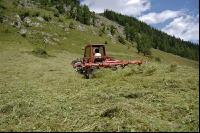 Alm Heuarbeit 7