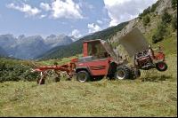 Alm Heuarbeit 9
