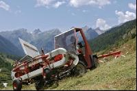 Alm Heuarbeit 10