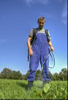 Ampfer spritzen 3