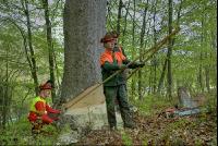 Fallrichtung 3