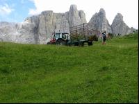 Bergbauern Südtirol 10