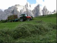 Bergbauern Südtirol 14