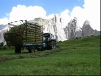 Bergbauern Südtirol 16