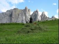Bergbauern Südtirol 4
