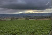 Gewitterwolken 9