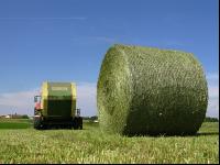 Haybales 1