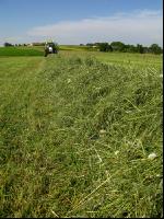 Haybales 10