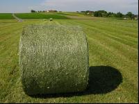 Haybales 3