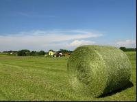 Haybales 6