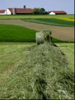 Haybales 7