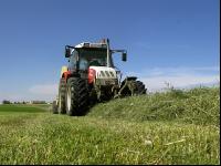 Haybales 8