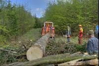 Holzbringung 18