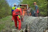 Holzbringung 16