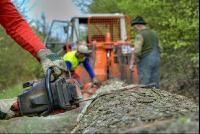 Holzbringung 15