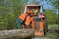 Holzbringung 14