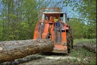 Holzbringung 13